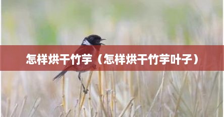 怎样烘干竹芋（怎样烘干竹芋叶子）