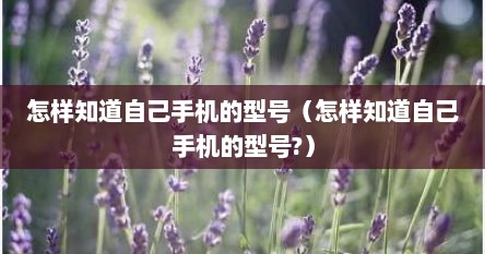 怎样知道自己手机的型号（怎样知道自己手机的型号?）