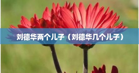 刘德华两个儿子（刘德华几个儿子）
