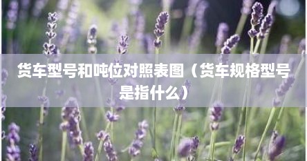 货车型号和吨位对照表图（货车规格型号是指什么）