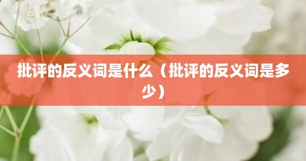 批评的反义词是什么（批评的反义词是多少）