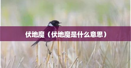 伏地魔（伏地魔是什么意思）