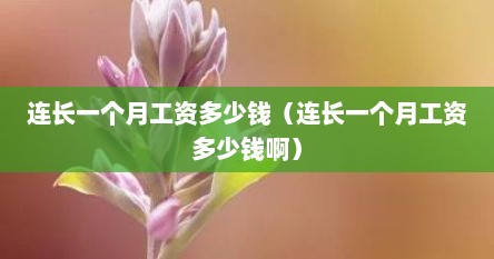 连长一个月工资多少钱（连长一个月工资多少钱啊）