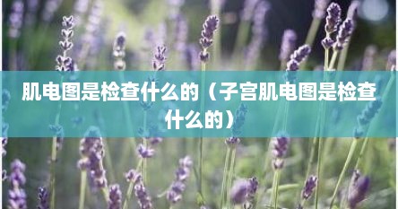 肌电图是检查什么的（子宫肌电图是检查什么的）