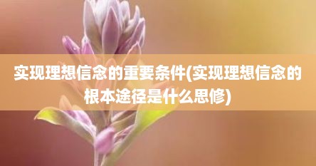 实现理想信念的重要条件(实现理想信念的根本途径是什么思修)