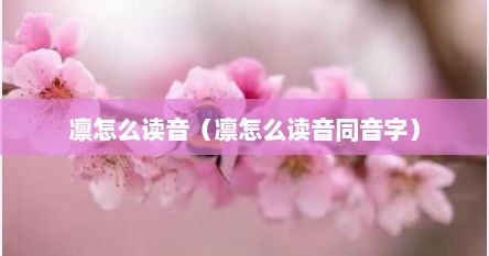 凛字怎么念（凛读什么拼音）