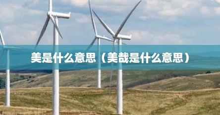 美是什么意思（美哉是什么意思）