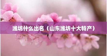 山东潍坊最出名的十大特产（潍坊特产可以带走的特产）