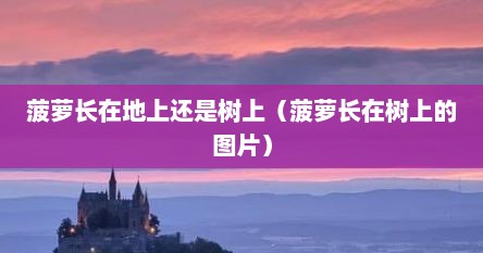 菠萝长在地上还是树上（菠萝长在树上的图片）