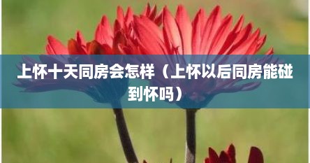 上怀十天同房会怎样（上怀以后同房能碰到怀吗）