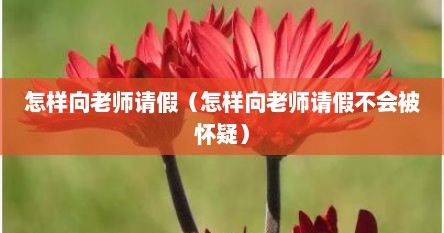 怎样向老师请假（怎样向老师请假不会被怀疑）