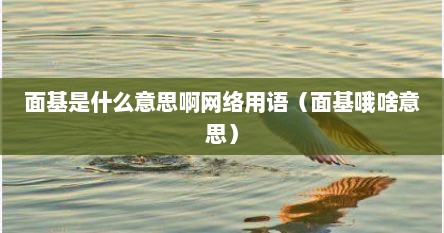 面基是什么意思啊网络用语（面基哦啥意思）