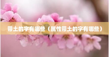 带土的字有哪些（属性带土的字有哪些）