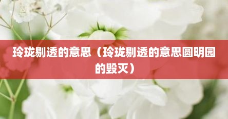 玲珑剔透是什么意思及造句（玲珑剔透在圆明园的毁灭一文中的意思）