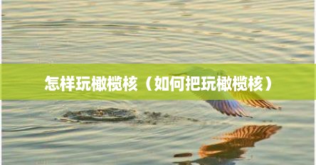 怎样玩橄榄核（如何把玩橄榄核）