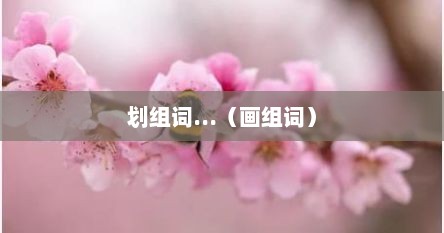 划组词...（画组词）