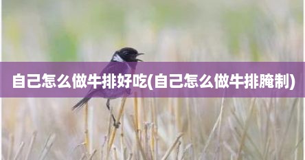 自己怎么做牛排好吃(自己怎么做牛排腌制)