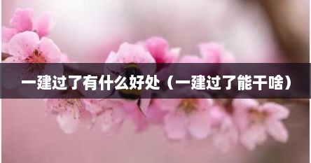 一建过了有什么好处（一建过了能干啥）