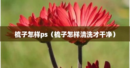 梳子怎样ps（梳子怎样清洗才干净）