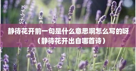 静待花开前一句是什么意思啊怎么写的呀（静待花开出自哪首诗）
