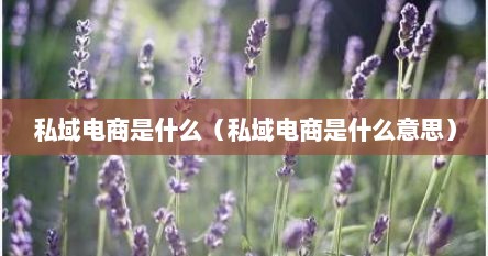 私域电商是什么（私域电商是什么意思）