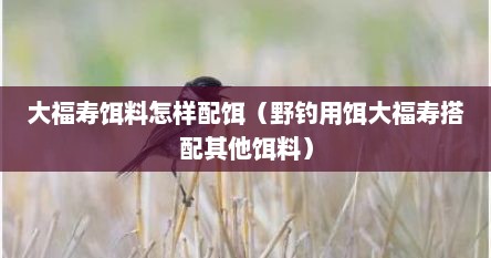 大福寿饵料怎样配饵（野钓用饵大福寿搭配其他饵料）