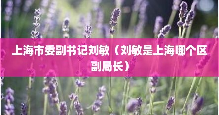 上海市委副书记刘敏（刘敏是上海哪个区副局长）