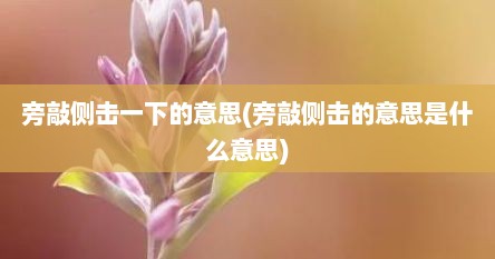 旁敲侧击一下的意思(旁敲侧击的意思是什么意思)