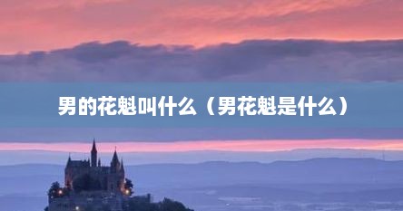 男的花魁叫什么（男花魁是什么）