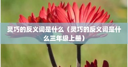 灵巧的反义词是什么正确答案（灵巧的反义词和特别的反义词）