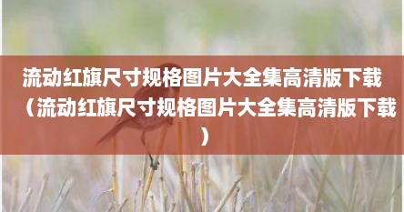 流动红旗尺寸规格图片大全集高清版下载（流动红旗尺寸规格图片大全集高清版下载）