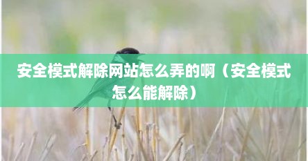 安全模式解除网站怎么弄的啊（安全模式怎么能解除）