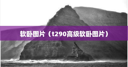 软卧图片（t290高级软卧图片）