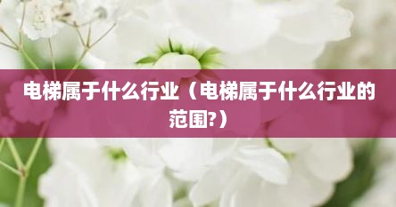 电梯属于哪个行业（电梯属于什么设备）
