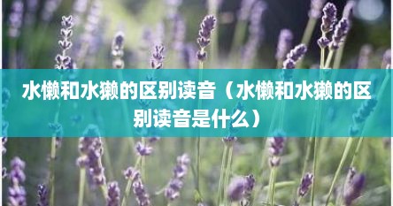 水懒和水獭的区别读音（水懒和水獭的区别读音是什么）