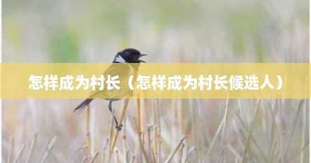 怎样成为村长（怎样成为村长候选人）