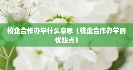校企合作办学什么意思（校企合作办学的优缺点）