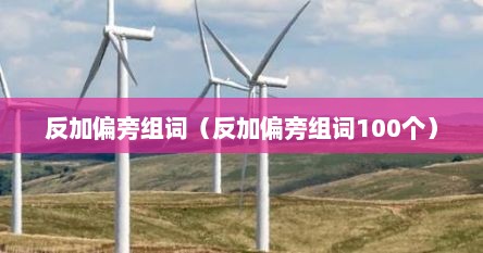 反加偏旁组词（反加偏旁组词100个）