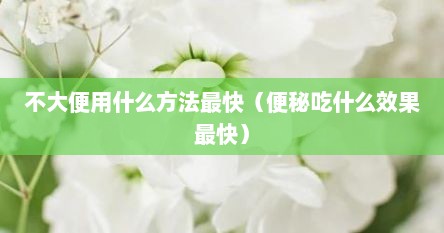不大便用什么方法最快（便秘吃什么效果最快）