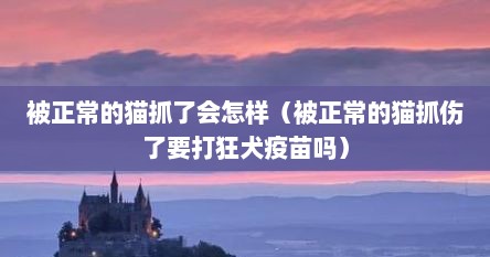 被正常的猫抓了会怎样（被正常的猫抓伤了要打狂犬疫苗吗）
