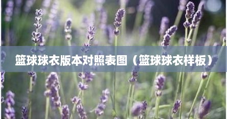 篮球球衣版本对照表图（篮球球衣样板）