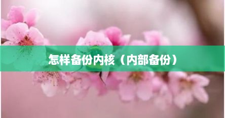 怎样备份内核（内部备份）