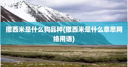 撒西米是什么狗品种(撒西米是什么意思网络用语)