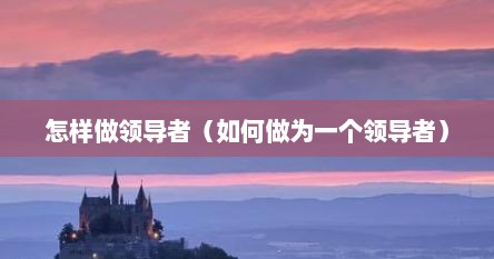 如何做一个领导者书籍（如何做一个领导者并且做好销售）