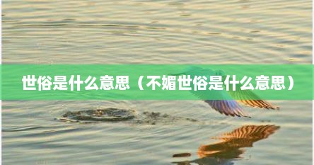 世俗是什么意思（不媚世俗是什么意思）