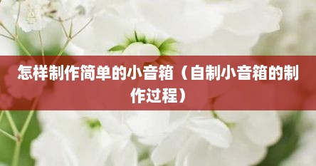 怎样制作简单的小音箱（自制小音箱的制作过程）