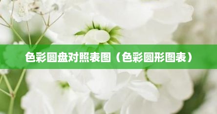色彩圆盘对照表图（色彩圆形图表）