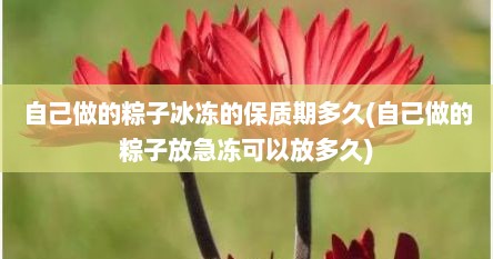 自己做的粽子冰冻的保质期多久(自己做的粽子放急冻可以放多久)