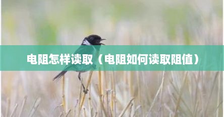 电阻怎样读取（电阻如何读取阻值）