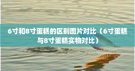 6寸和8寸蛋糕的区别图片对比（6寸蛋糕与8寸蛋糕实物对比）